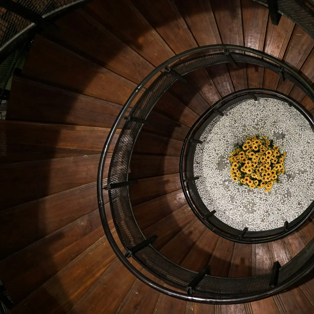 Wendeltreppe aus Holz von oben gesehen